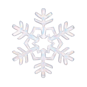 Wavy Snowflake